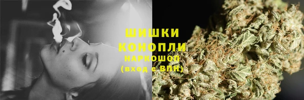 хмурый Кодинск
